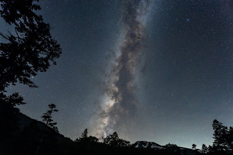 Stars in the Milky Way