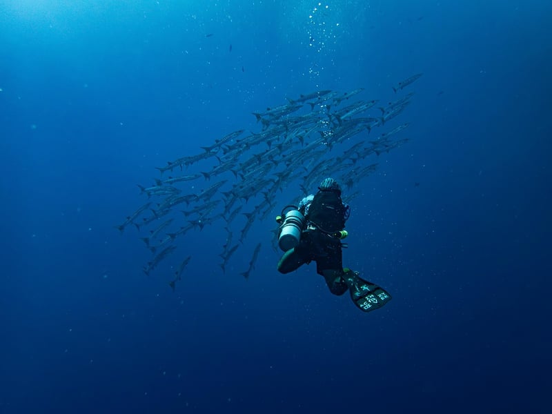 Submarine Diving